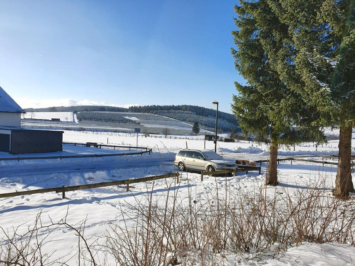 Ferienhaus Kuestelnest Медебах Екстериор снимка